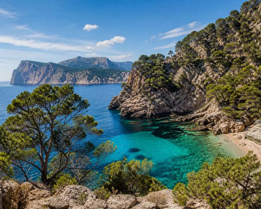 Türkisfarbene Bucht zwischen Kalksteinfelsen und Pinien auf Mallorca