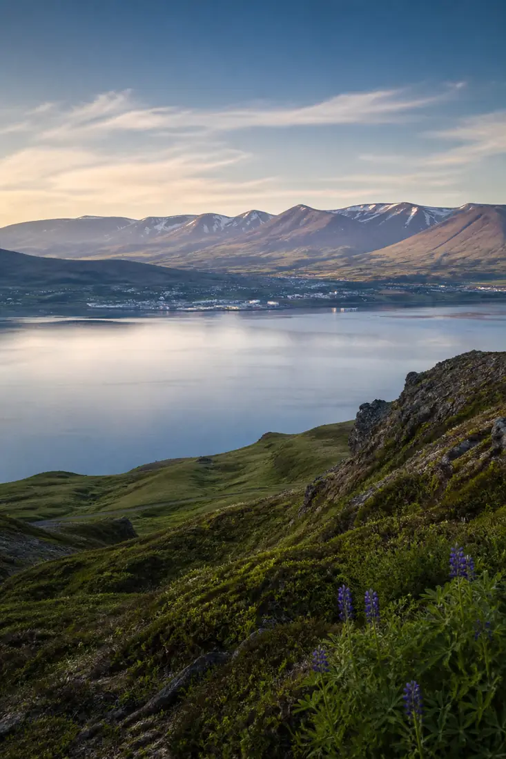 Weiter Fjord und vulkanische Berge in der grünen Landschaft Nordislands
